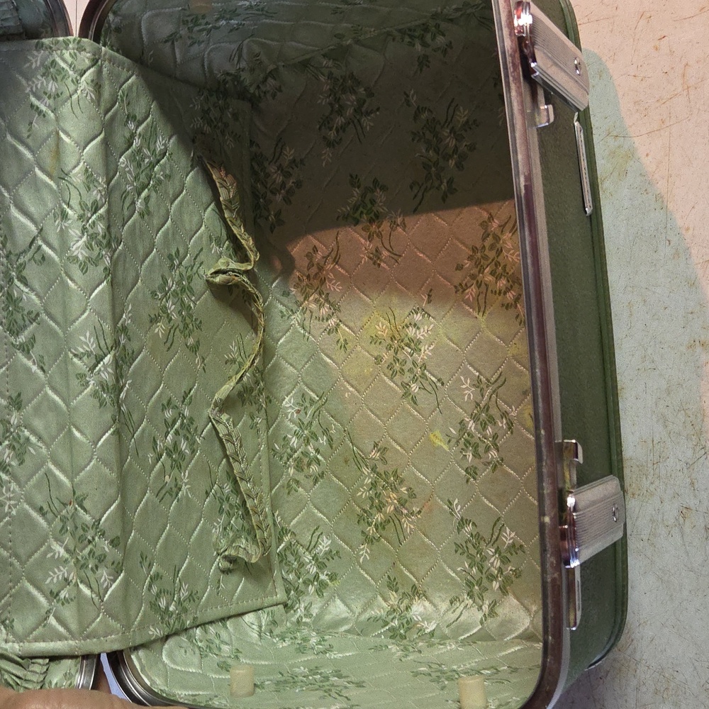 Olive Green Train Case Cosmetic Carry-On - Picture 2 of 6